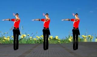 晚秋的歌词 晚秋的歌词